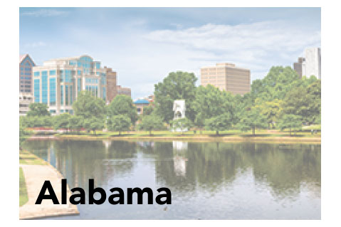 Alabama State Promotional Product Sales Data