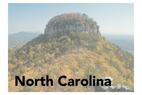 North Carolina State Promotional Product Sales Data