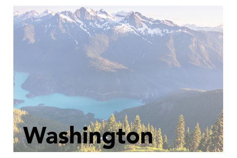 Washington State Promotional Product Sales Data