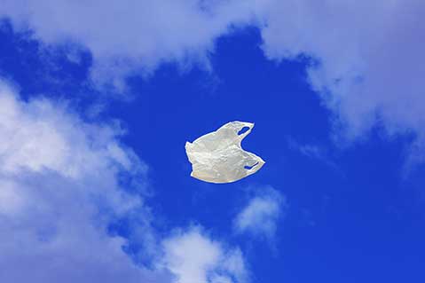 Michigan Outlaws Plastic Bag Bans