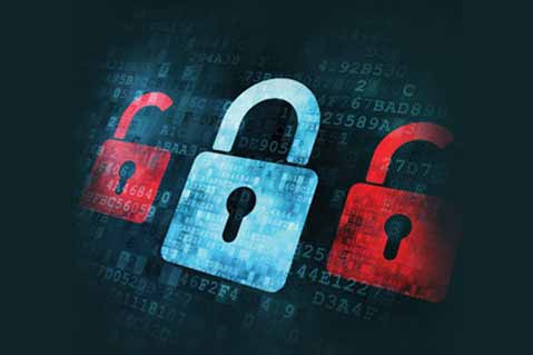 Small Businesses Ignore Data Security